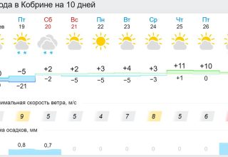 Когда в Кобрин придет тепло?