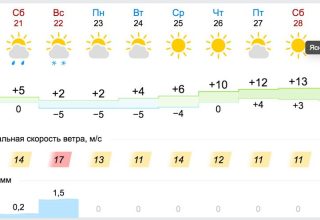 В выходные по ночам в Кобрине морозы до −5 °С