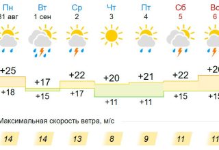 Начало сентября в Кобрине будет теплым, но дождливым