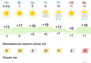 Все о погоде в Кобрин на неделе