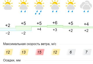 Погода на ближайшие дни в Кобрине: будет сыро, но тепло