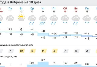 К концу следующей недели в Кобрине прогнозируют до 16 градусов мороза