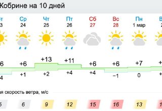 В четверг уже +13°С. О погоде в Кобрине на новой рабочей неделе