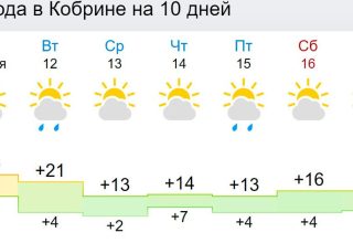 Погода в Кобрине на неделю