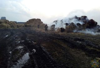 В д. Пески горела скирда соломы