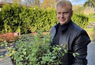 В Кобрине саженцы клонируются под классическую музыку
