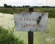 В водоёме под Кобрином утонул мужчина