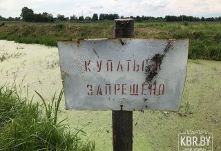 В водоёме под Кобрином утонул мужчина