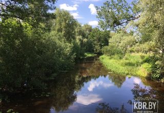 О мелиораторах Кобринского ПМС в видеопроекте