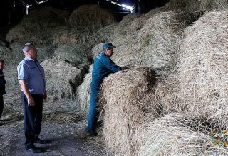 Заготовка грубых кормов на особом контроле в Кобринском районе