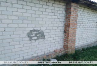 Попытка запастись на зиму кобринчанами оказалась провальной