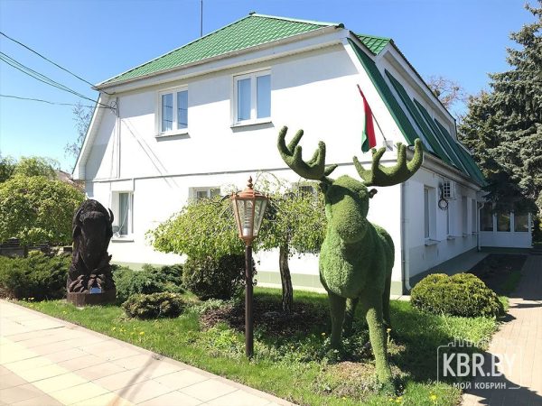 Кобринский опытный лесхоз