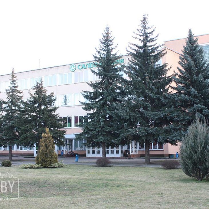 «Остров чистоты»